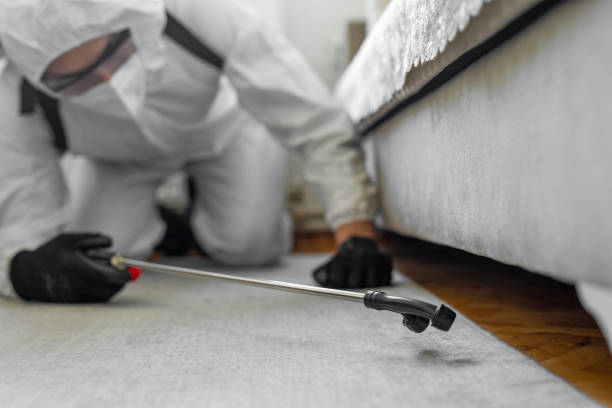 Professional Bed Bug Control technician working in Englewood, TN
