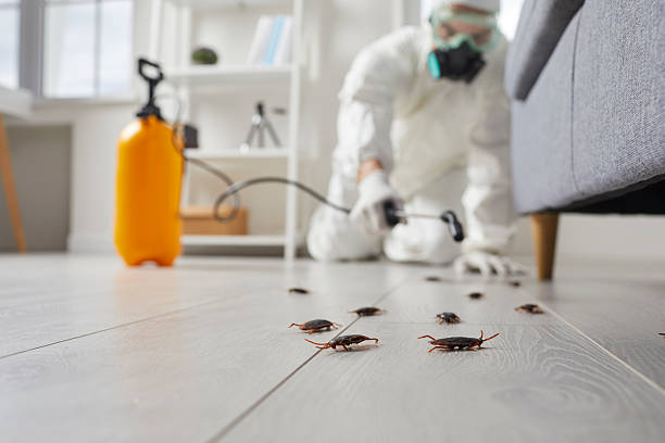 Trusted Termite Control service in Englewood, TN - Nex Pest Control