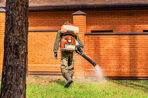 Trusted Bed Bug Control service in Englewood, TN - Nex Pest Control